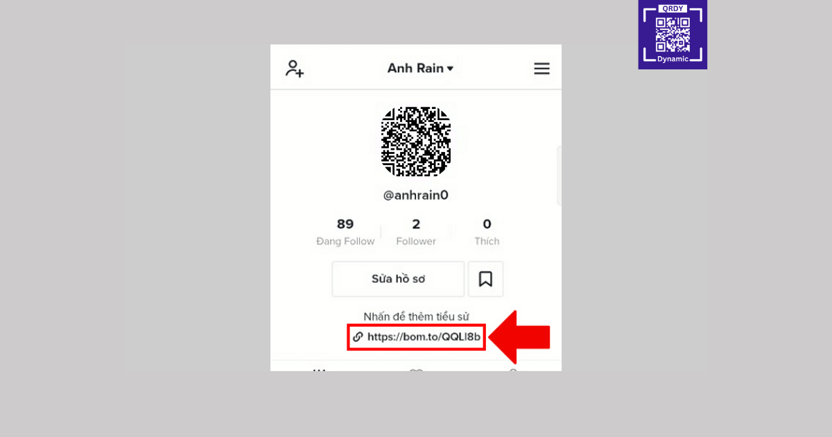 Link bio with Qrdy Dynamic QR new breakthrough