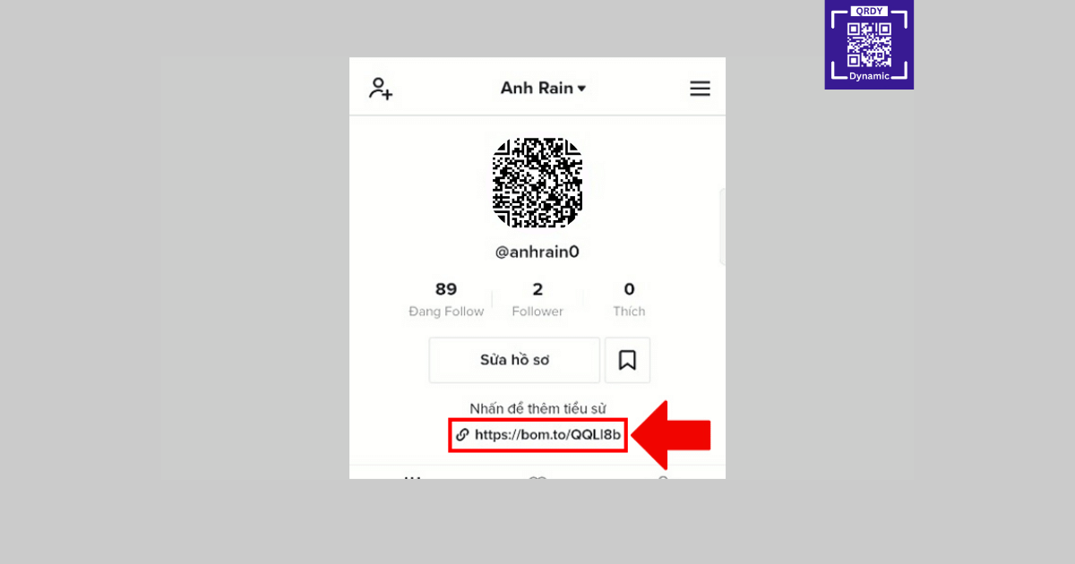Link bio bằng qrdy dynamic qr đột phá mới